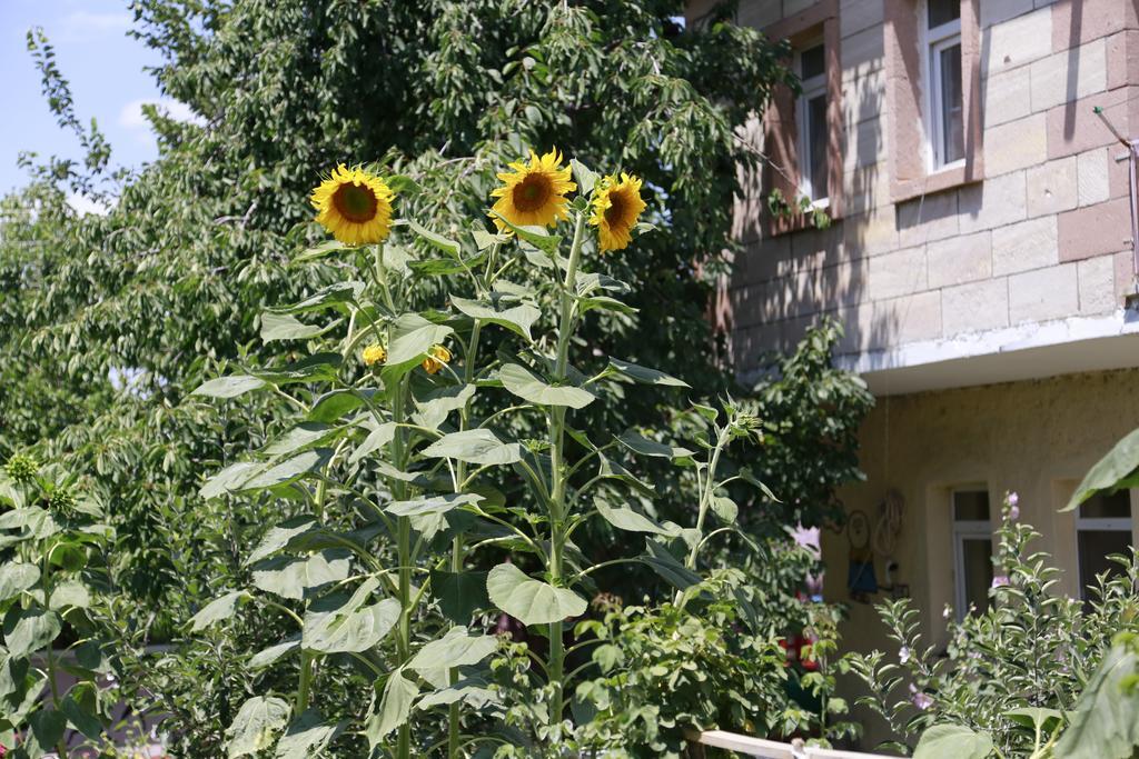 Apartament Garden Of Cappadocia Uçhisar Zewnętrze zdjęcie